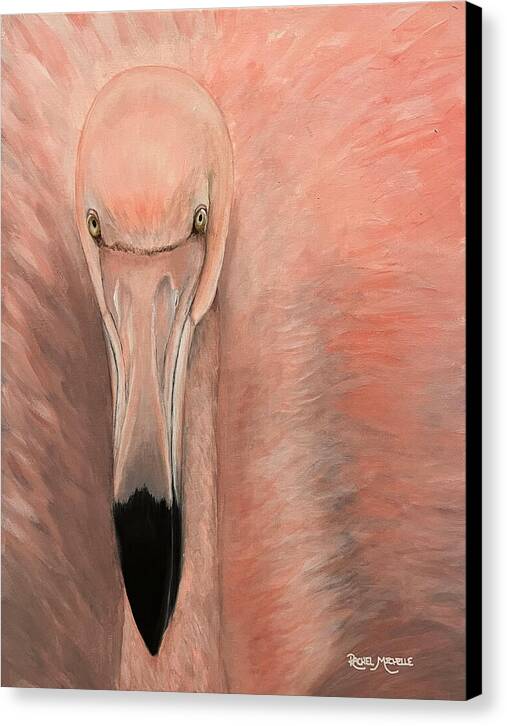 Fancy Flamingo by Rachel Michelle - Stretched Canvas