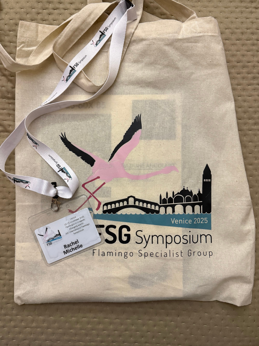 From Florida to Italy: What the Flamingo Symposium Reinforced for Me, Rachel Michelle