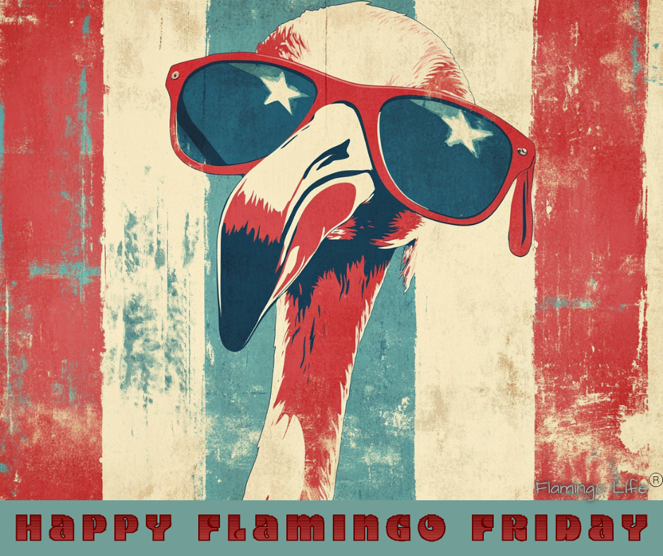 Happy Flamingo Friday from Flamingo Life!