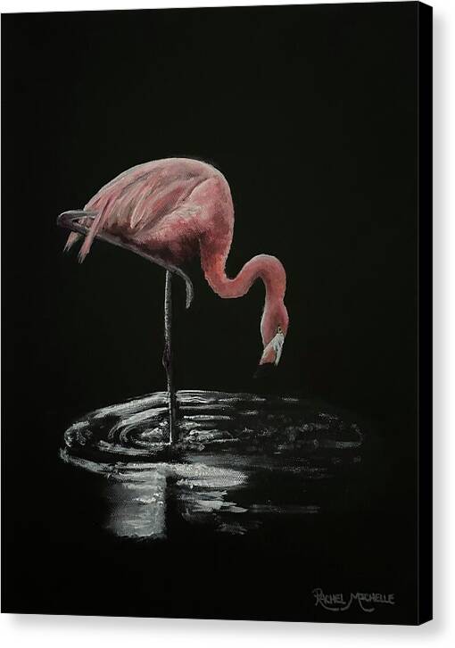 Midnight Reflection by Rachel Michelle - Stretched Canvas