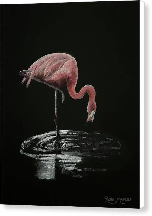 Midnight Reflection by Rachel Michelle - Stretched Canvas