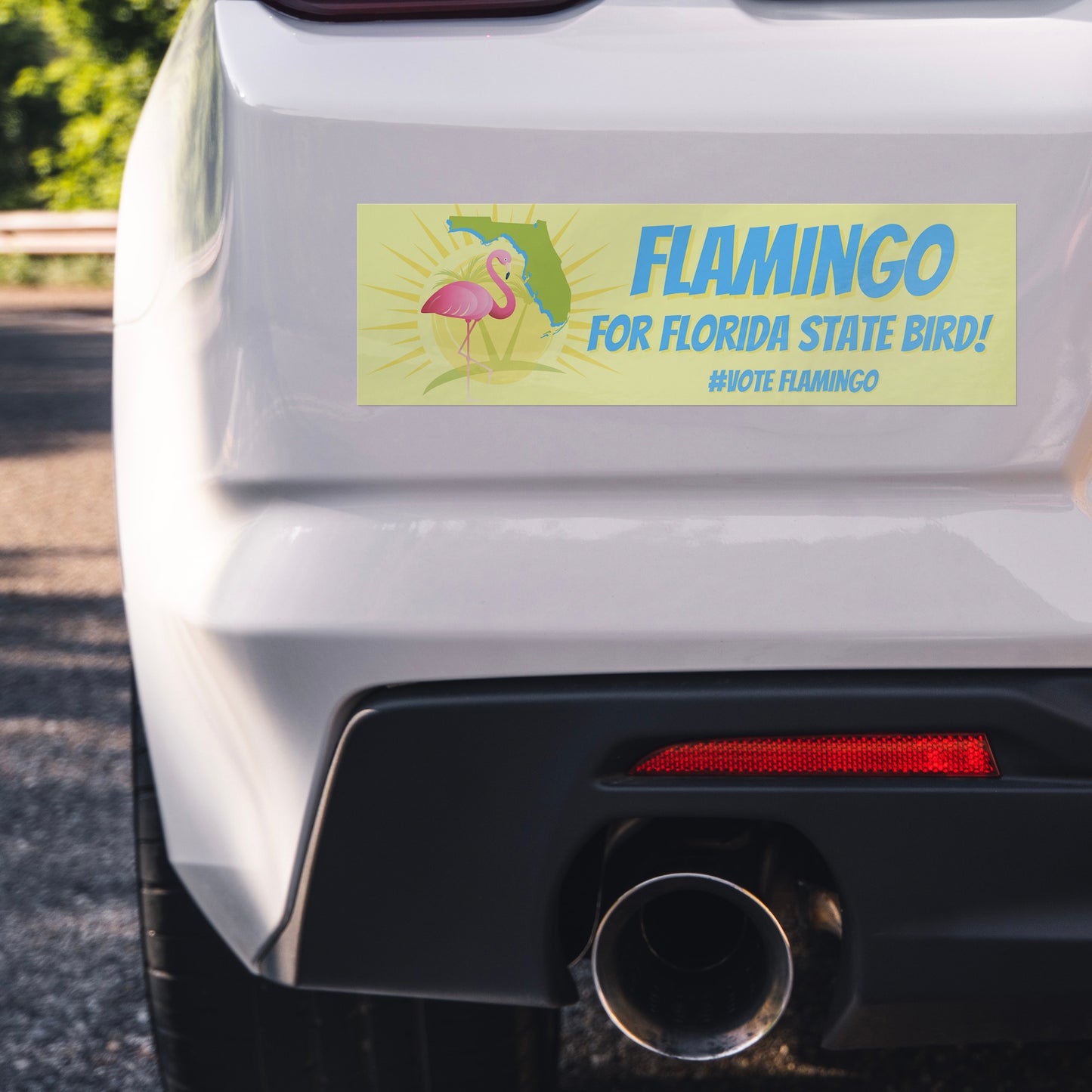 Flamingo For Florida State Bird Bumper Sticker(s)