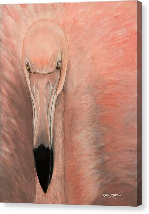 Fancy Flamingo by Rachel Michelle - Stretched Canvas
