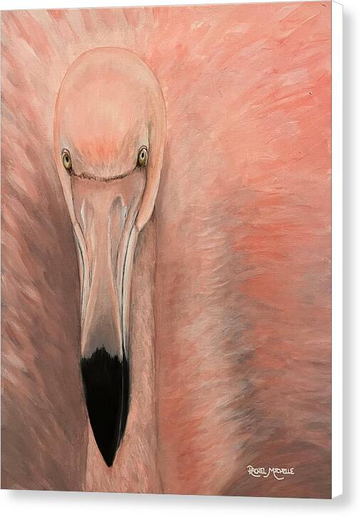 Fancy Flamingo by Rachel Michelle - Stretched Canvas